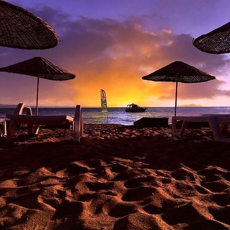 Cicek Evler Tatil Koeyue 호텔 Armutlu 외부 사진