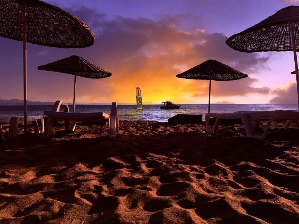 Cicek Evler Tatil Koeyue 호텔 Armutlu 외부 사진